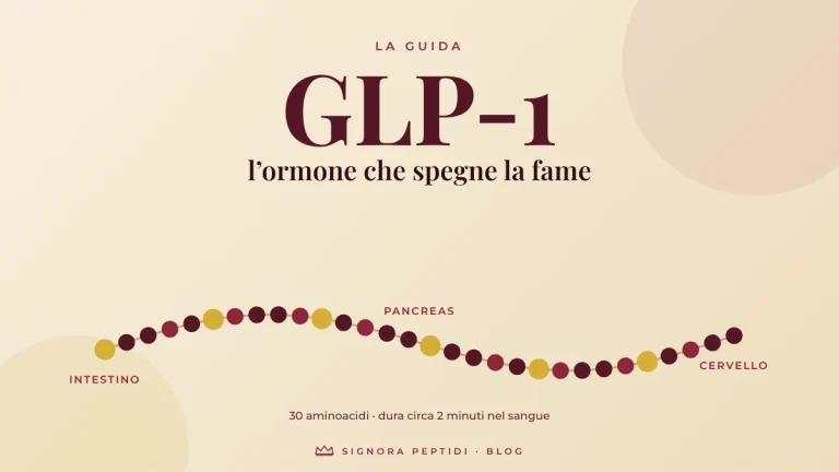 Illustrazione di una catena di 30 aminoacidi che va dall’intestino al cervello, con il titolo GLP-1